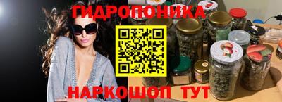 гашик Малоярославец