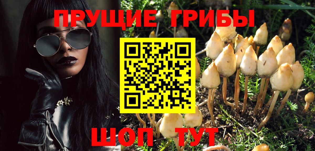 Псилоцибиновые грибы Psilocybine cubensis  Вход с VPN  Псилоцибиновые грибы Psilocybe  Киржач 